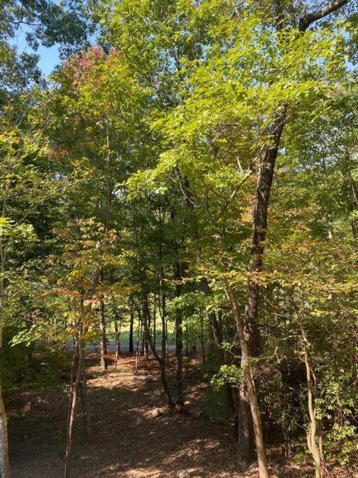 Вилла Helen, Ga Bear Paw Haus Экстерьер фото